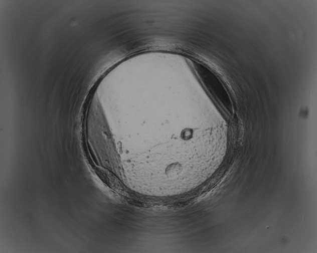 X0000095511042200801041155