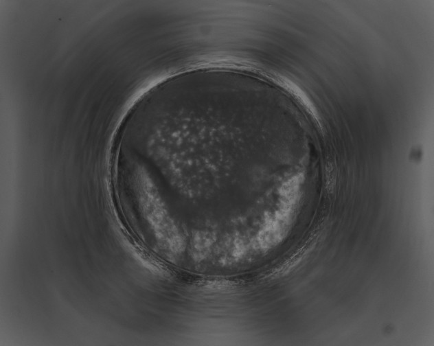 X0000095511043200801041155