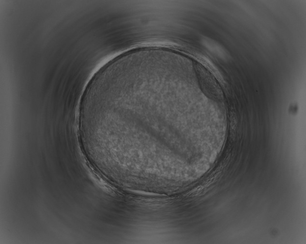 X0000095511044200801041155