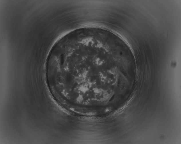 X0000095511045200801041155