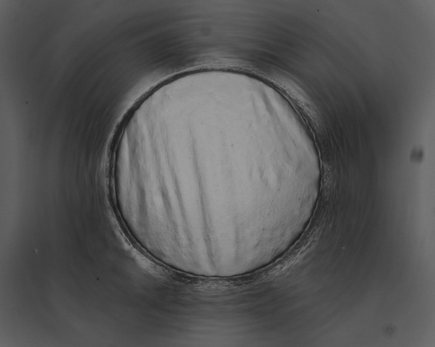 X0000095511046200801041155