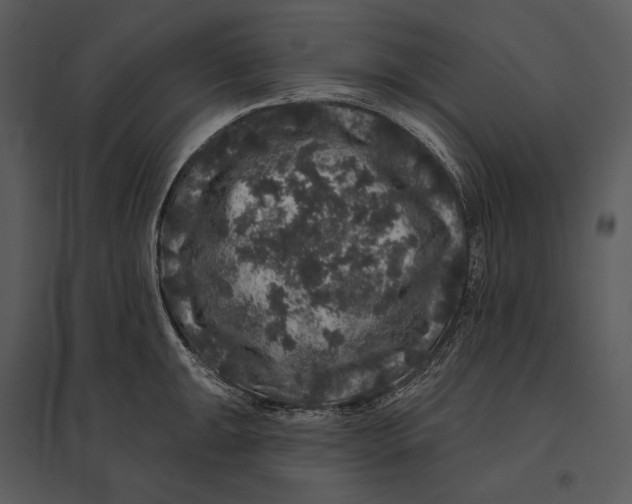 X0000095511047200801041156