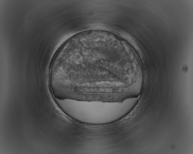 X0000095511048200801041156