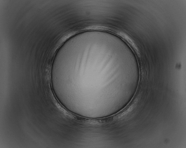 X0000095511049200801041156