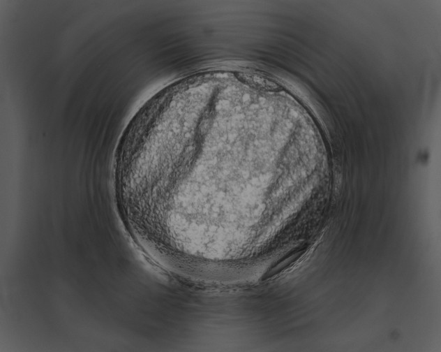 X0000095511050200801041156
