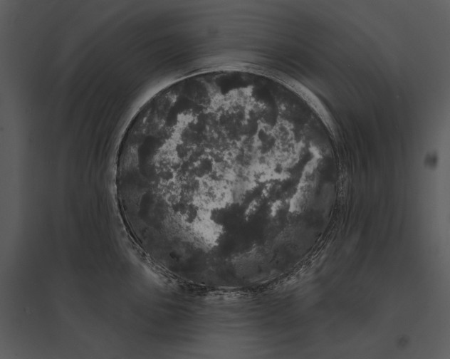X0000095511051200801041156