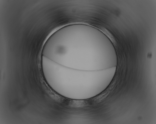 X0000095511052200801041156