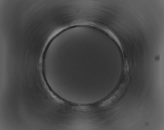 X0000095511053200801041156