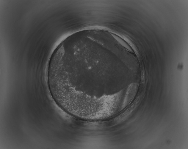X0000095511054200801041156