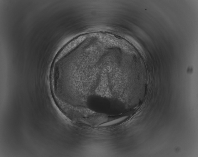 X0000095511055200801041156