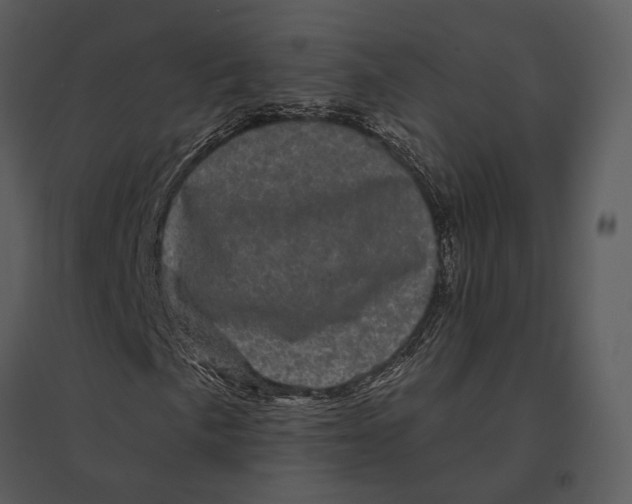 X0000095511057200801041155
