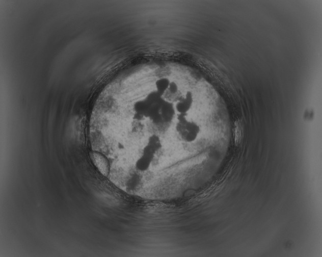 X0000095511059200801041155
