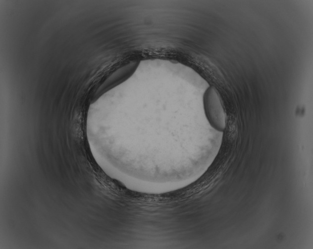 X0000095511060200801041155