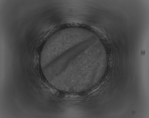 X0000095511061200801041155