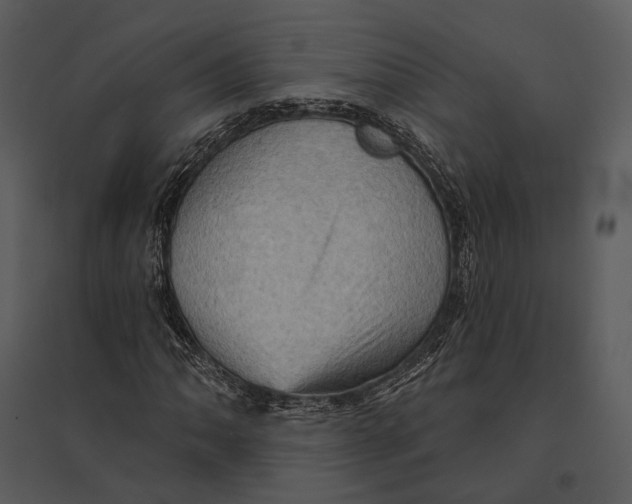 X0000095511062200801041155