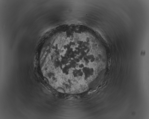 X0000095511063200801041155