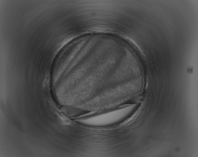 X0000095511065200801041155