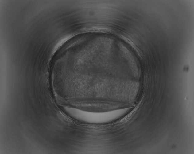 X0000095511066200801041155