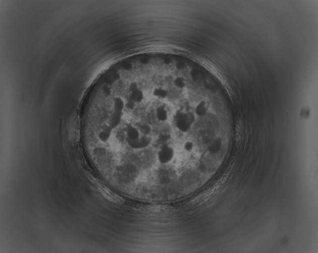 X0000095511067200801041155