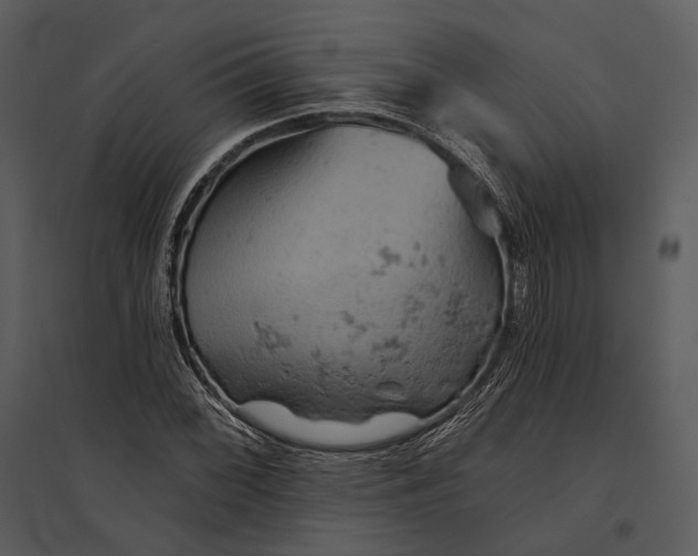 X0000095511068200801041155