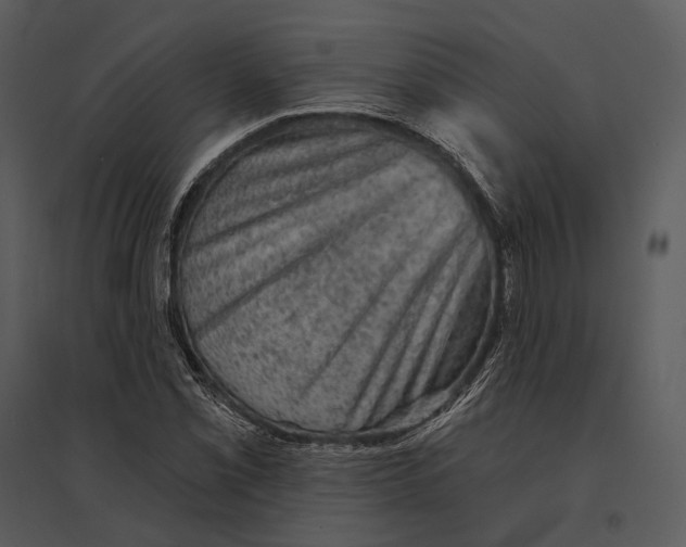 X0000095511069200801041155