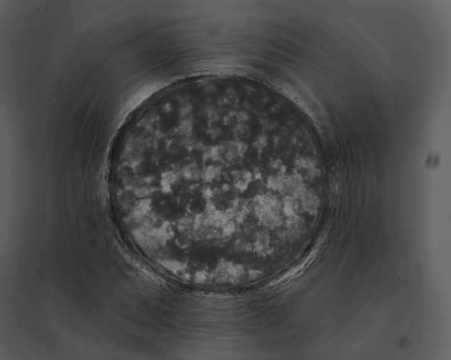 X0000095511071200801041155