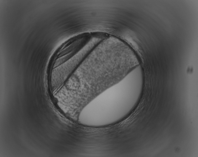 X0000095511072200801041155