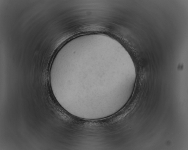 X0000095511073200801041155
