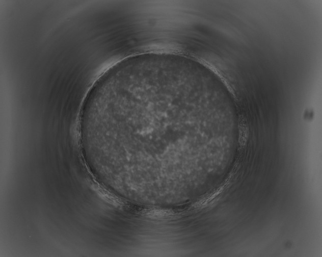 X0000095511074200801041155