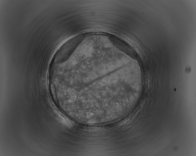 X0000095511076200801041155
