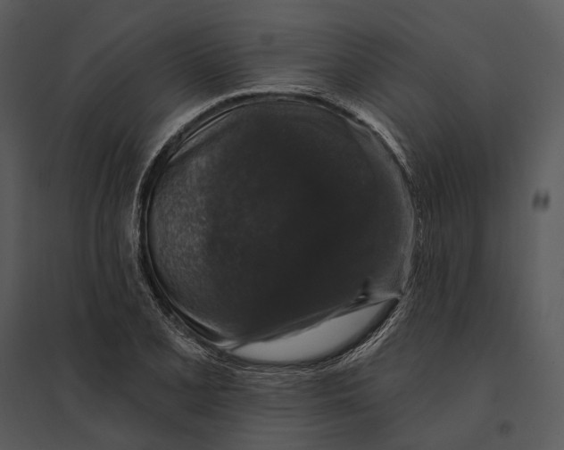 X0000095511077200801041155