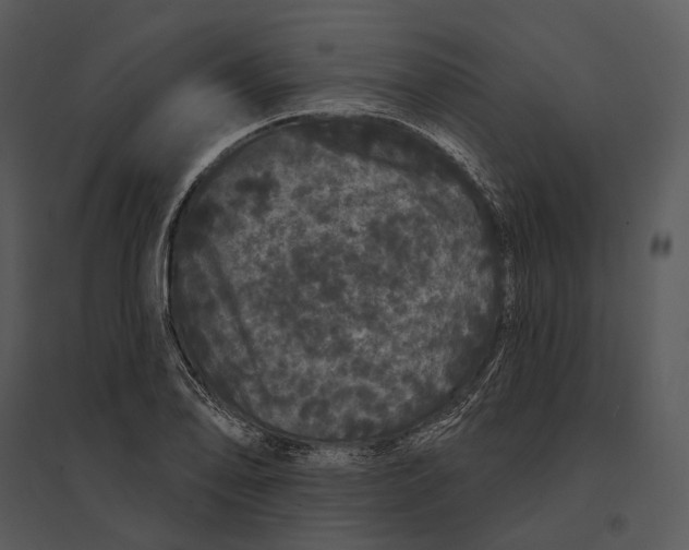 X0000095511078200801041155