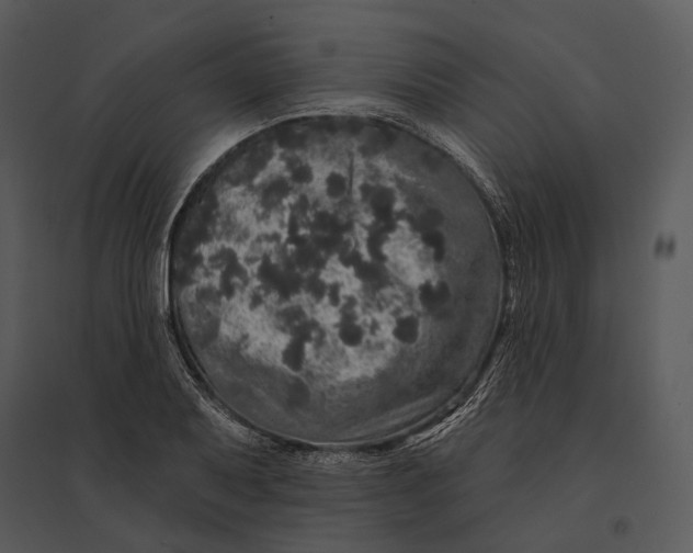 X0000095511079200801041154
