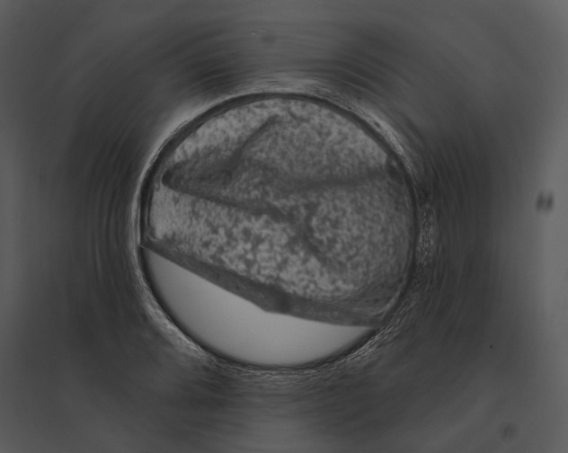 X0000095511080200801041154