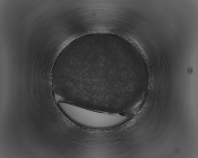 X0000095511081200801041154