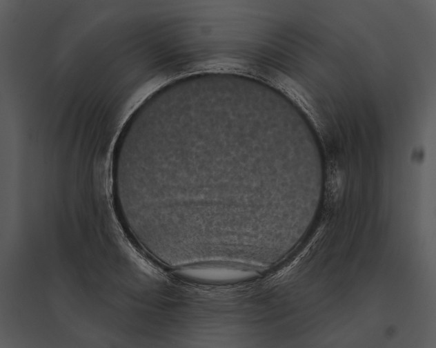 X0000095511082200801041154