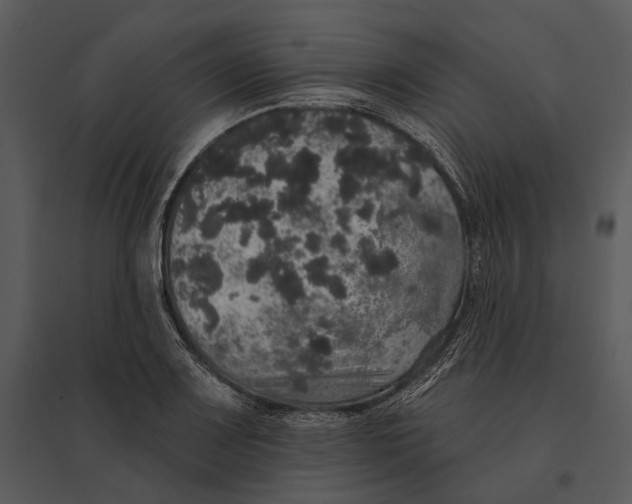 X0000095511083200801041154