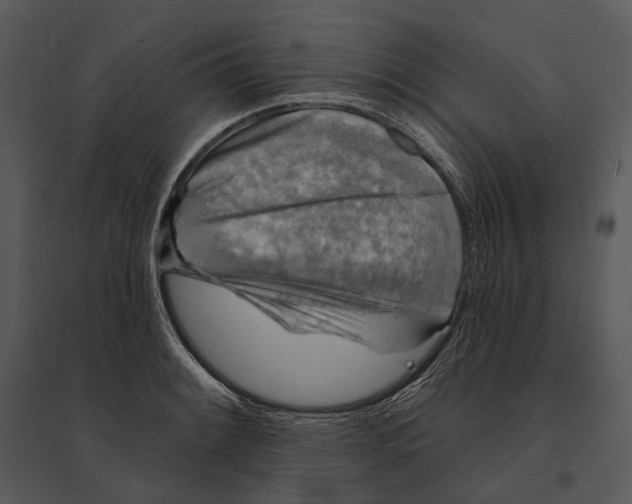 X0000095511084200801041154