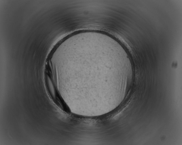 X0000095511085200801041154