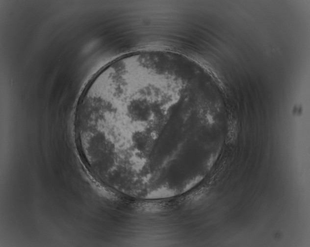 X0000095511086200801041154
