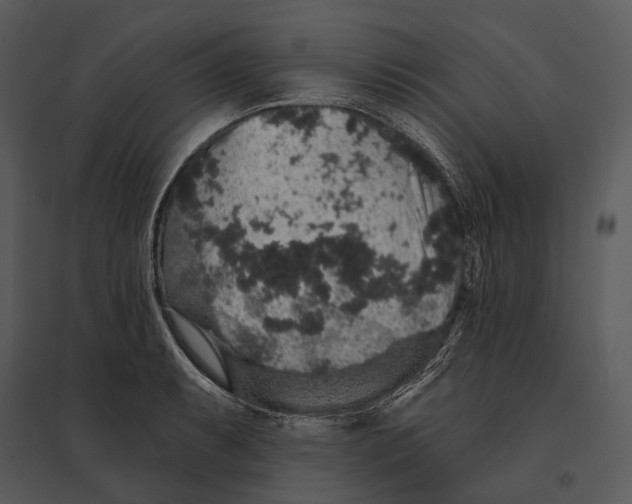 X0000095511087200801041154