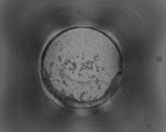 X0000095511088200801041154