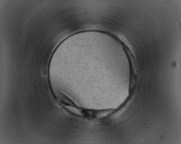 X0000095511089200801041154