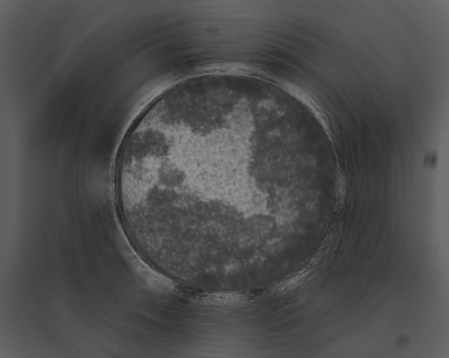 X0000095511090200801041154
