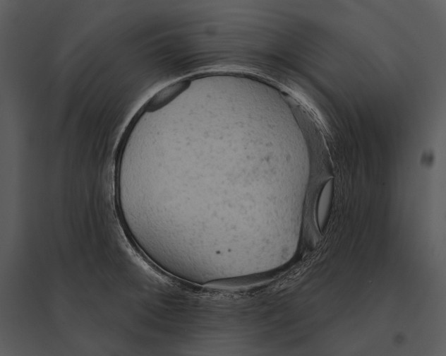 X0000095511092200801041154