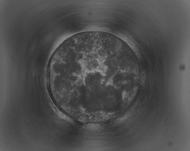X0000095511094200801041154