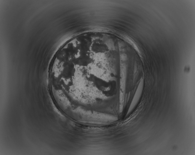 X0000095511095200801041154