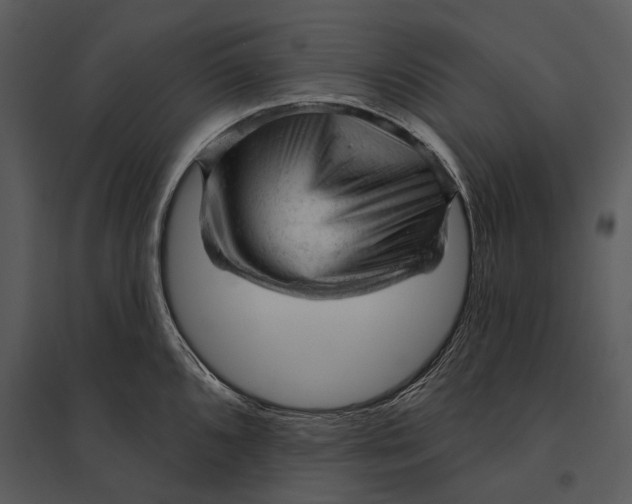 X0000095511096200801041154