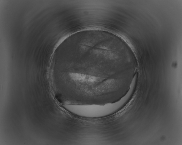 X0000095511097200801041154