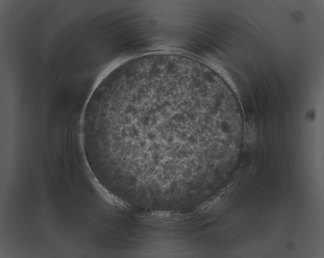 X0000095511098200801041154